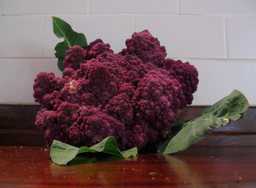 image-4.png (500×367)